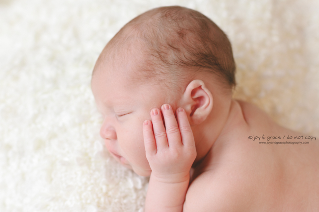 8 day old baby boy - becker newborn photographer