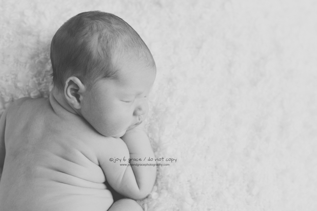 8 day old baby boy - becker newborn photographer