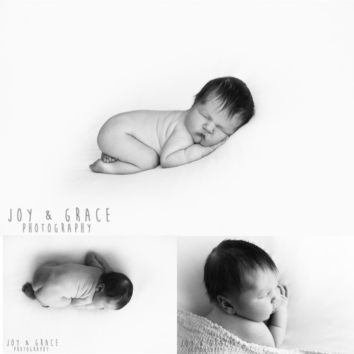 becker newborn photographer