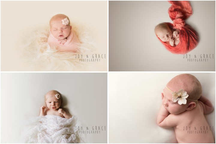 monticello newborn photographer