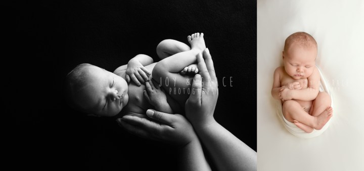 monticello newborn photography