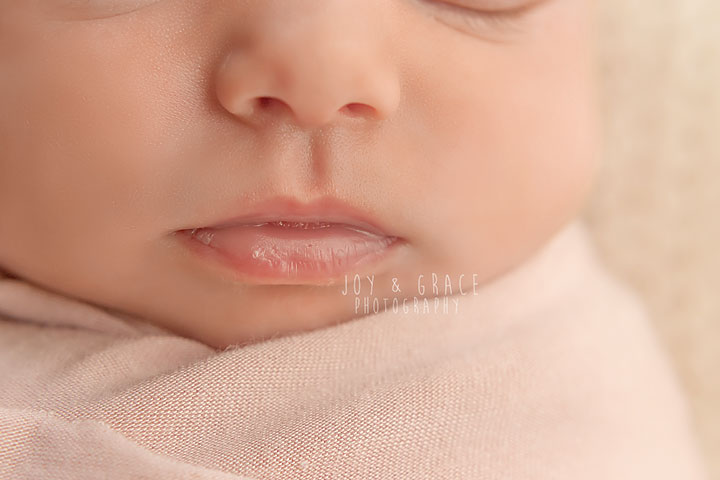 becker mn newborn photographer