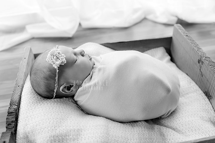 becker mn newborn photographers