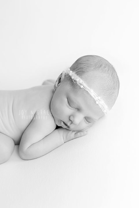 becker mn photographers