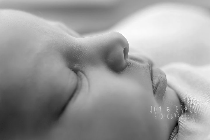 becker newborn photographer