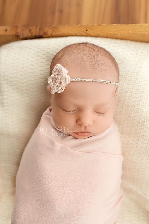 becker newborn photographers