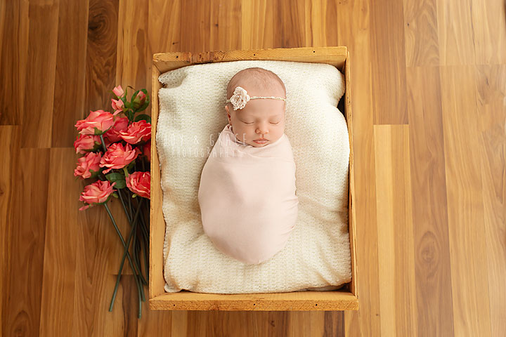 becker photographers