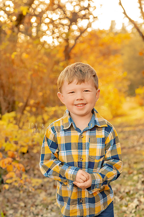 fall mini session family photographer becker mn
