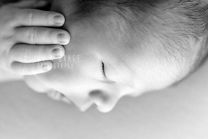 becker mn photographer