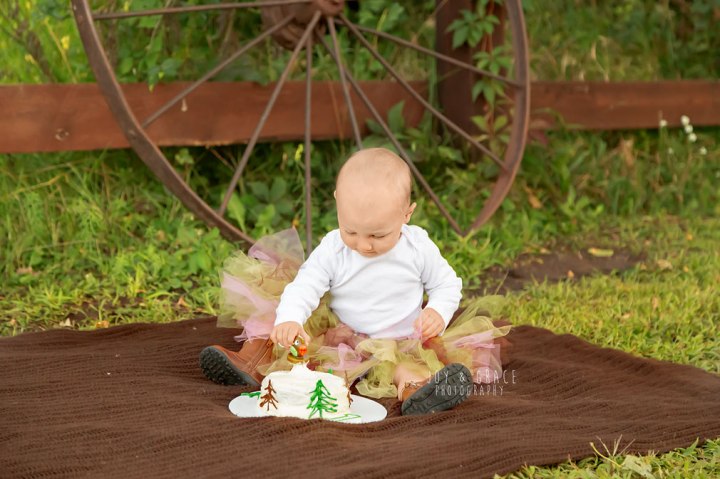 becker mn cake smash photographer