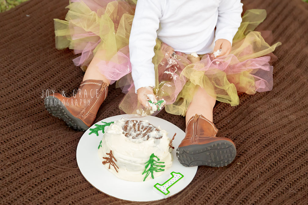 becker mn first birthday photographer