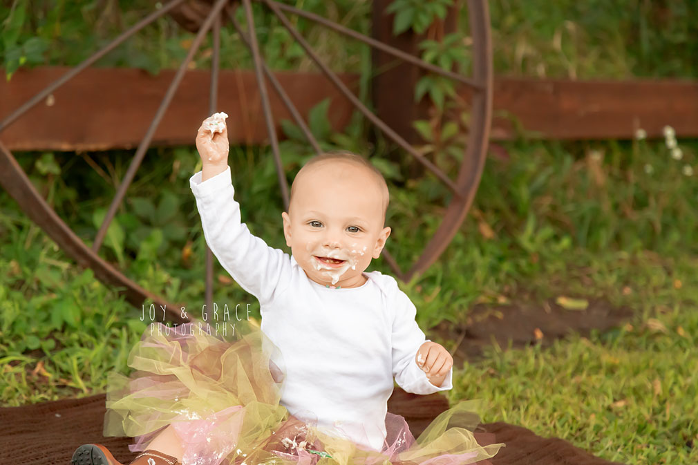 big lake mn cake smash photographer