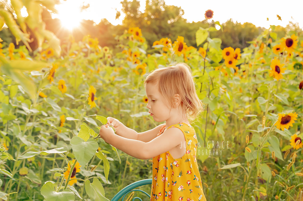 becker family photographers