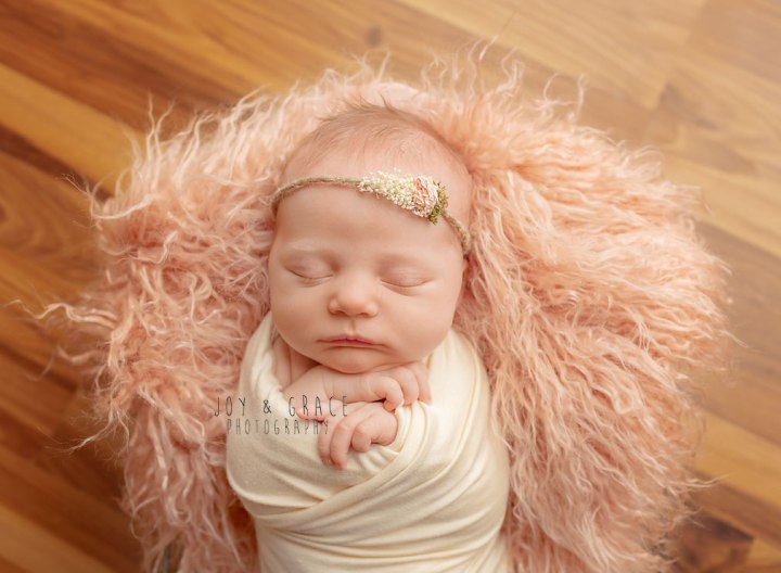 monticello mn newborn photographer